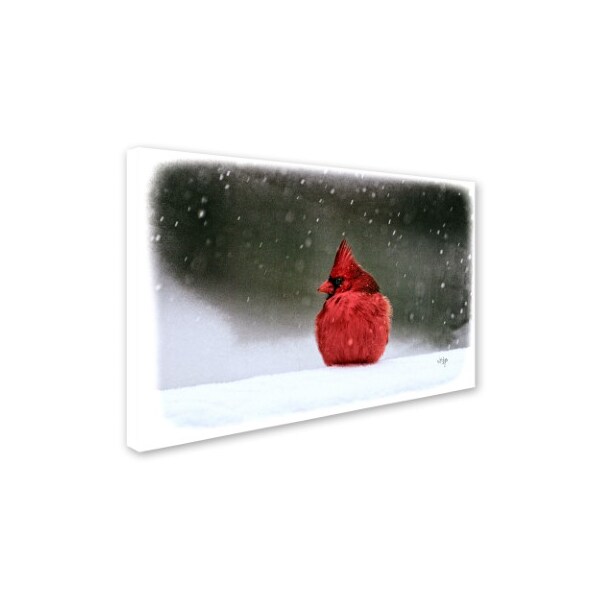 Lois Bryan 'A Ruby In The Snow' Canvas Art,12x19